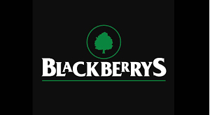 our partner